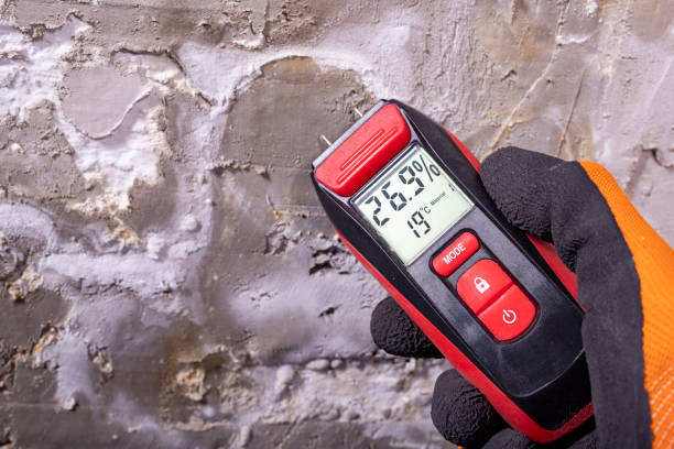 Professional Mold Removal in Rapid City, SD