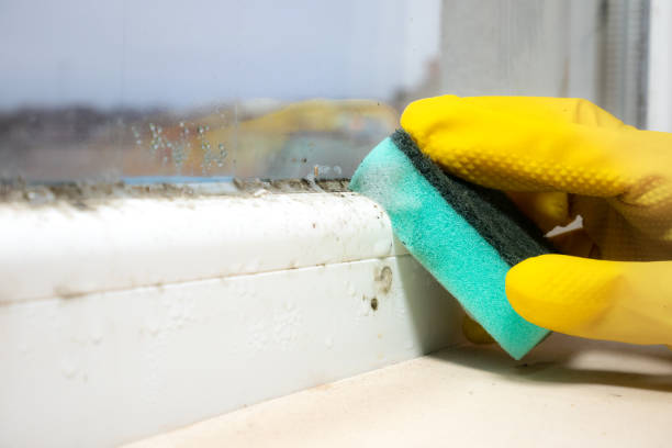 Best Mold Testing  in Rapid City, SD