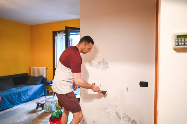 Best Attic Mold Removal  in Rapid City, SD